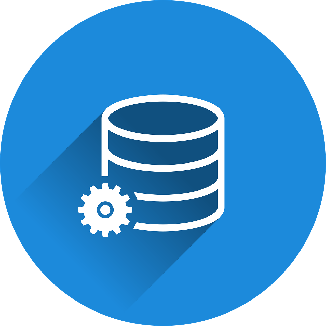 Data Migration
